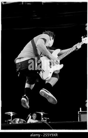 BLINK-182, READING FESTIVAL, 2000: Mark Hoppus, der Bassgitarrist von Blink-182, spielt auf der Main Stage beim Reading Festival, 27. August 2000. Foto: Rob Watkins. INFO: Blink-182 ist eine US-amerikanische Pop-Punk-Band, die 1992 gegründet wurde und für ihre eingängigen Melodien, humorvollen Texte und energiereichen Auftritte bekannt ist. Mit Hits wie All the Small Things und Enema of the State wurden sie zu Ikonen des Punk-Revivals der späten 90er Jahre. Stockfoto
