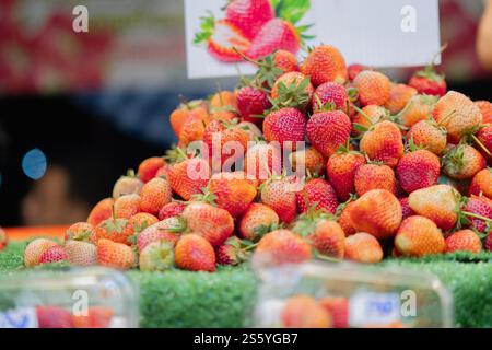 Bio- und frische Erdbeeren auf grünem Grastisch vorbereiten und zum Verkauf auf dem Bauernmarkt bereit. Selektiver Fokus. Stockfoto