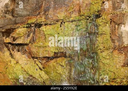 Wasserfall zwischen Steinen und Bäumen. Nahaufnahme von Felsbrocken im Wasser. Riesige Steine in grünem Moos. Wunderschöne Landschaft mit schnellem Wasserfall mit kleinen Stockfoto
