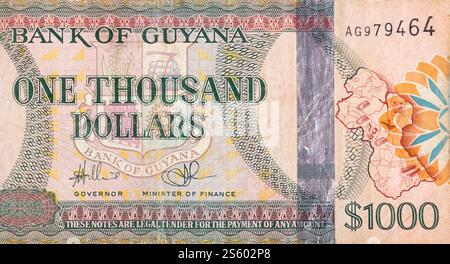 Ein Teil des braunen Guyana-1000-Dollar-Banknotenfragments aus nächster Nähe. Teil des braunen Guyana-1000-Dollar-Banknotenfragments Stockfoto