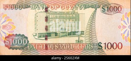 Ein Teil des braunen Guyana-1000-Dollar-Banknotenfragments aus nächster Nähe. Teil des braunen Guyana-1000-Dollar-Banknotenfragments Stockfoto