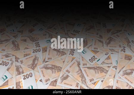 Tschechische Republik 200 Korun 1998 Banknotenschein Nahaufnahme Rechnungsmuster. 200 CRONES. Tschechische Republik 200 Korun 1998 Banknotenschein Nahaufnahme Rechnungsmuster Stockfoto