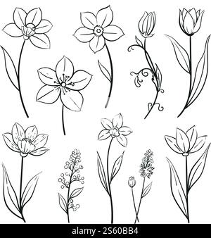 Abstrakte Blumen, Blätter, Blatt, Knospen Hand gezeichnete Vektorskizze. Zeichnung der Tintenlinie. Minimalistisches Design mit wilden Blumen. Schwarz-weiß gestaltete Kunst. Blumen Stock Vektor