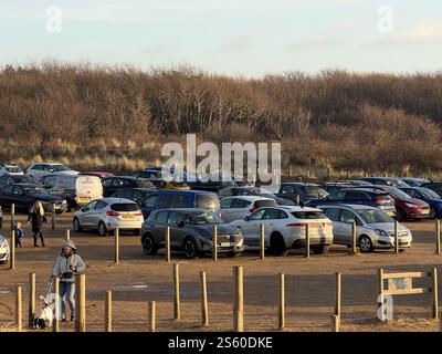 Der Kiefernwald in Formby Freshfield, verwaltet vom National Trust Stockfoto