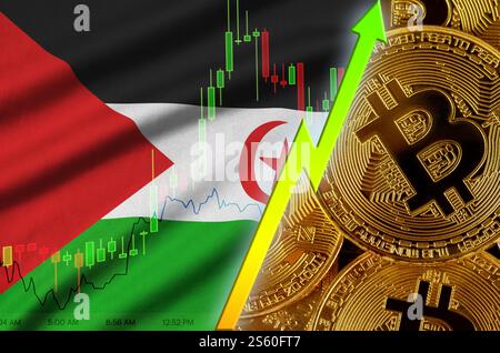 Westsahara-Flagge und Kryptowährung wachsender Trend mit vielen goldenen Bitcoins. Konzept der Erhöhung des Bitcoin-Preises oder einer hohen Konvertierung in Stockfoto