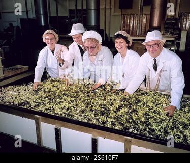 Cravens Candyland Süßwaren Unternehmen in York, Großbritannien, Großbritannien 1985 - Civic Würdenträger, die Kontrolle der Produktion in der Fabrik. LtoR Oberbürgermeisterin Dorothy Cooper, Polizeichef Ken König, Mavis Hardcastle der toffee Association, lady Sheriff Hilary König und Herrn Bürgermeister Ken Cooper Stockfoto