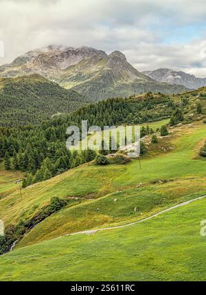 Berglandschaft in der Nähe des Dorfes Grevasalvas im Sommer, Graubünden, Schweiz Stockfoto