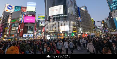 Scramble Crossing View, Shibuya, Tokio Stockfoto