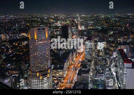 Nachtansicht auf Tokio City vom Scramble Square Tower, Tokio, Japan Stockfoto