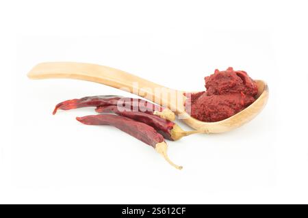 Traditionelle türkische Chili-Pfefferpaste im Löffel mit getrockneten Paprika isoliert auf weißem Hintergrund Stockfoto