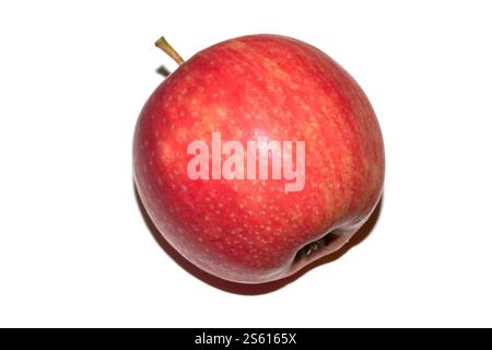 Eine rosafarbene Dame, roter Apfel auf weißem Hintergrund Stockfoto