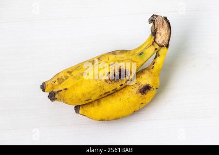 Drei reife gelbe Bananen ruhen auf einer hellen Holzoberfläche. Stockfoto