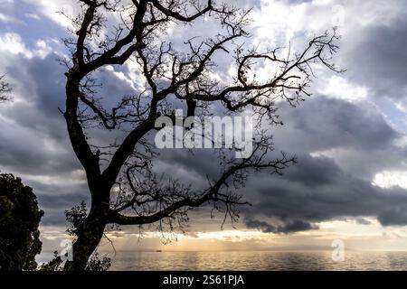 Sonnenstrahlen, die durch die dunklen Wolken in der adria ragen, erzeugen einen dramatischen Effekt Stockfoto