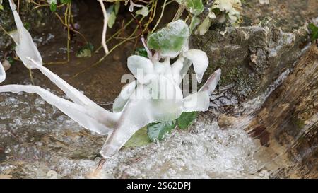 Gefrorenes Blatt im Fluss umgeben von fließendem Wasser und Eiszapfen Stockfoto