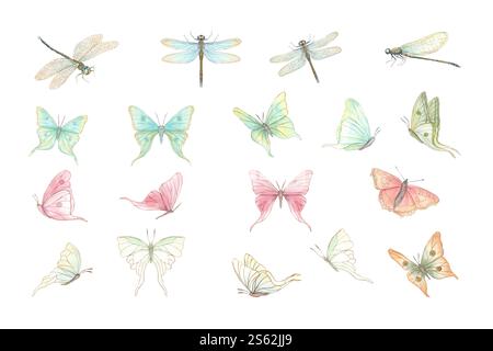 Aquarell flatternde zarte abstrakte Schmetterlinge und Damselflies isolierte Illustration. Farbiges handgemaltes Vintage-Set mit tropischen fliegenden Insekten Stockfoto