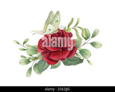 Dunkelrote Rose, grüne Blätter und sitzender weißer grüner Schmetterling auf Blume Aquarellillustration. Realistischer botanischer Blumenstrauß im Vintage-Stil mit Blumenkopf Stockfoto