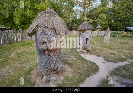 Rustikale Holzhütte in einem Wald, der aus dem Stamm eines Baumes mit einem geschnitzten Schindeldach gebildet wurde, in einem grünen Wald, froh in Pirogowo, Ukraine, Stockfoto