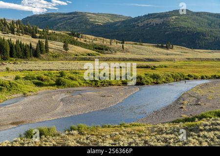 Panoramablick auf das Lamar Valley im Nordosten des Yellowstone National Park Stockfoto