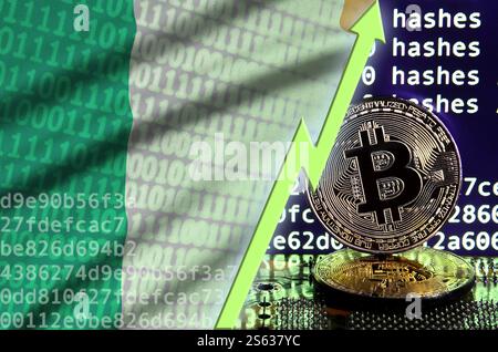 Irland-Flagge und aufsteigender grüner Pfeil auf Bitcoin-Mining-Bildschirm und zwei physische goldene Bitcoins. Konzept der hohen Konvertierung im Kryptowährungs-Mining. Stockfoto