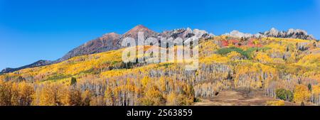 Aspenbäume mit Herbstfarben im Kebler Pass bei Crested Butte, Colorado Stockfoto