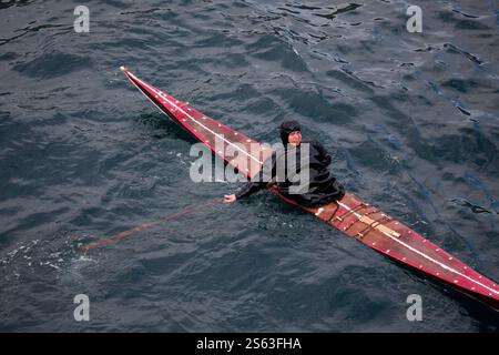 Ein Inuit-Mann, der seine Kajakfähigkeiten auf einer Tierhaut zeigt, bedeckte traditionelle Inuit-Kajak im Hafen von Sisimiut. Stadt Qeqqata. Grönland Stockfoto
