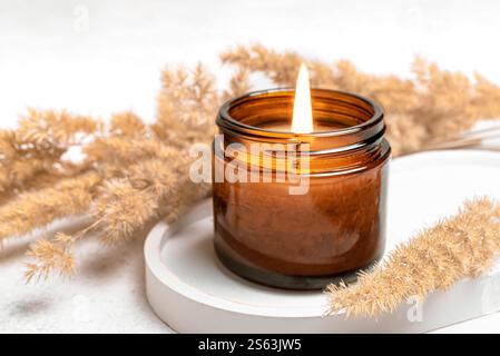 Brennende Duftkerze im Glasgefäß mit trockenem Schilfgras auf Betontablett aus nächster Nähe. Massage Spa-Kerze aus Sojabohnenwachs, Vorlage für biologische Hautpflege. Stockfoto