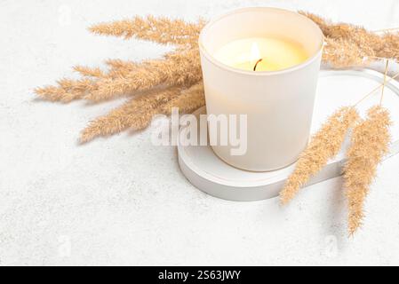 Brennende Aromakerze im weißen matten Glasglas mit trockenem Schilfgras auf Betonplatte und weißem Hintergrund, Kopierraum. Massage Spa Soja Wachs Kerze, Anti Stockfoto