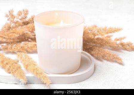 Gemütliche Wachskerze in weißem mattem Glas mit trockenem Schilf aus nächster Nähe. Brennende Duftkerze mit natürlichen Elementen. Spa-Massage und Bio-Hautpflege. Stockfoto