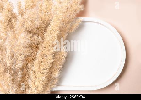 Weißes leeres ovales Podium und trockenes Schilfgras auf hellbeigem Hintergrund, Draufsicht, Kopierraum. Minimaler kreativer Vorlagenhintergrund für Kosmetik Stockfoto