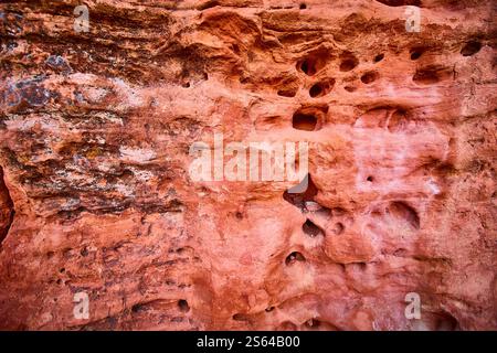 Strukturierte Oberfläche aus rotem Sandstein in der Wüste Utah aus nächster Nähe Stockfoto