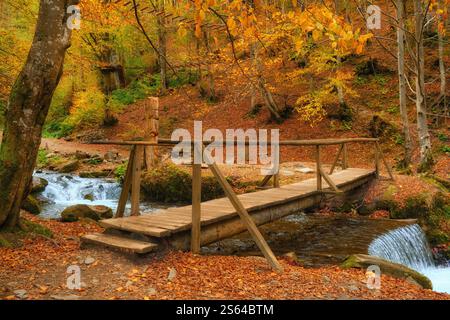 Tauchen Sie ein in die Ruhe des Herbstes, während Sie eine malerische Waldszene erleben. Ein kleiner Gebirgsbach schlängelt sich anmutig durch die Vibran Stockfoto
