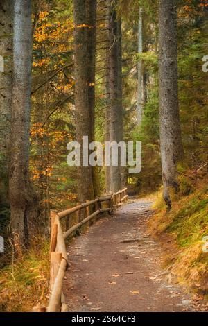 Begeben Sie sich auf eine ruhige Reise durch die lebhaften Herbstfarben auf einem Waldweg, der sich entlang eines malerischen Sees schlängelt. Der hölzerne Zaun ist anmutig Stockfoto