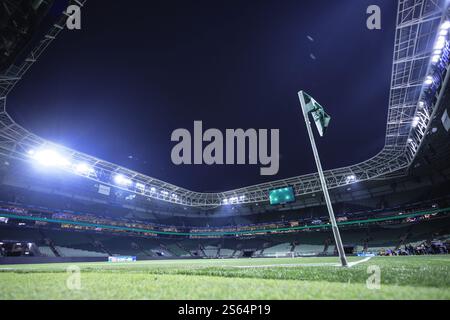 Sao Paulo, Brasilien. Januar 2025. SP - SAO PAULO - 01/15/2025 - PAULISTA 2025, PALMEIRAS x PORTUGUESA - Allgemeine Ansicht des Stadions Arena Allianz Parque für das Spiel zwischen Palmeiras und Portuguesa für die Paulista 2025 Meisterschaft. Foto: Ettore Chiereguini/AGIF Credit: AGIF/Alamy Live News Stockfoto
