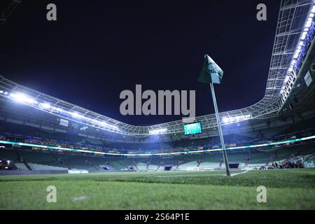 Sao Paulo, Brasilien. Januar 2025. SP - SAO PAULO - 01/15/2025 - PAULISTA 2025, PALMEIRAS x PORTUGUESA - Allgemeine Ansicht des Stadions Arena Allianz Parque für das Spiel zwischen Palmeiras und Portuguesa für die Paulista 2025 Meisterschaft. Foto: Ettore Chiereguini/AGIF Credit: AGIF/Alamy Live News Stockfoto