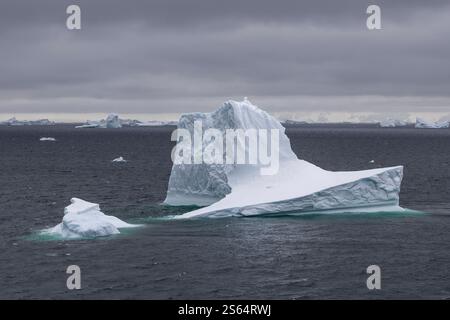 Große Eisberge, die in kalten dunklen Gewässern in der Antarktis schwimmen Stockfoto