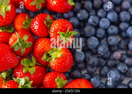 Blick von oben auf frisch geerntete Erdbeeren und Heidelbeeren nebeneinander, mit lebhaften Farben, natürlicher Süße und antioxidativen Früchten Stockfoto