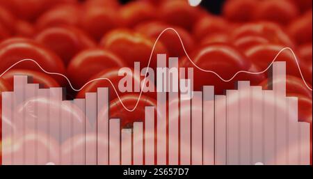 Abbildung der Datenverarbeitung auf Diagramm über frischen Tomaten Stockfoto