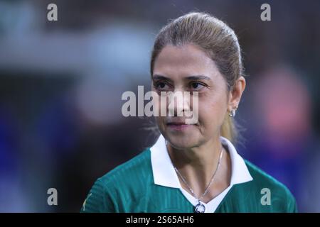 Sao Paulo, Brasilien. Januar 2025. SP - SAO PAULO - 01/15/2025 - PAULISTA 2025, PALMEIRAS x PORTUGUESA - leila pereira Präsidentin von Palmeiras vor dem Spiel gegen Portuguesa im Stadion Arena Allianz Parque zur Paulista 2025. Foto: Ettore Chiereguini/AGIF Credit: AGIF/Alamy Live News Stockfoto