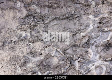 Fußspur auf dem Dschungelpfad. Schuhdrucke auf nassem Kies oder Schlamm in Berggebieten im Freien. Fußspur auf dem Dschungelpfad. Schuhdrucke auf nassem Kies Stockfoto
