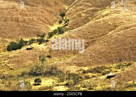 Holzhütten auf Trockenrasen in hügeliger Landschaft während der Trockenzeit auf dem Wairinding Hill auf Sumba Island, einer Insel, die regelmäßig von Dürre heimgesucht wird. Stockfoto