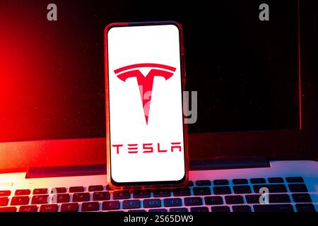 Pringsewu, lampung; 15. Januar 2025; Tesla Motors Auto-Logo auf einem Handy-Bildschirm. Tesla Motors, Inc. Ist ein US-amerikanischer Automobilhersteller und Energiespeicher Stockfoto
