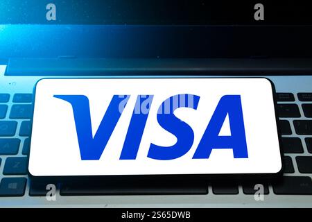 Pringsewu, lampung; 15. Januar 2025; Nahaufnahme der isolierten VISA-Kreditkarten-Handy-Anzeige Stockfoto