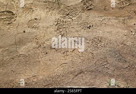 Fußspur auf dem Dschungelpfad. Schuhdrucke auf nassem Kies oder Schlamm in Berggebieten im Freien. Fußspur auf dem Dschungelpfad. Schuhdrucke auf nassem Kies Stockfoto