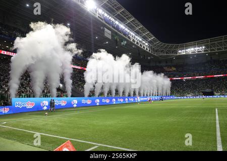 Sao Paulo, Sao Paulo, Brasilien. Januar 2025. Sao Paulo (SP), 15/2025 - Sao Paulo/Palmeiras Park, in Sao Paulo-SP. (Kreditbild: © Leco Viana/TheNEWS2 via ZUMA Press Wire) NUR REDAKTIONELLE VERWENDUNG! Nicht für kommerzielle ZWECKE! Stockfoto