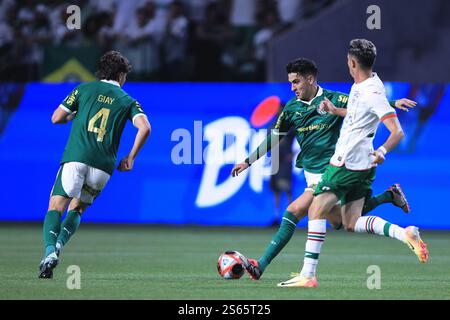 Sao Paulo, Brasilien. Januar 2025. SP - SAO PAULO - 01/15/2025 - PAULISTA 2025, PALMEIRAS x PORTUGUESA - PALMEIRAS Spieler tritt während eines Spiels gegen Portuguesa im Stadion Arena Allianz Parque für die Paulista 2025-Meisterschaft auf. Foto: Ettore Chiereguini/AGIF Credit: AGIF/Alamy Live News Stockfoto
