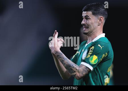 Sao Paulo, Brasilien. Januar 2025. SP - SAO PAULO - 01/15/2025 - PAULISTA 2025, PALMEIRAS x PORTUGUESA - PALMEIRAS Spieler Romulo während eines Spiels gegen Portuguesa im Stadion Arena Allianz Parque für die Paulista 2025 Meisterschaft. Foto: Ettore Chiereguini/AGIF Credit: AGIF/Alamy Live News Stockfoto