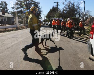 (250116) -- LOS ANGELES, 16. Januar 2025 (Xinhua) -- Los Angeles Fire Rescue und San Diego Urban Search and Rescue Teams, unterstützt von Abgeordneten des Los Angeles County Sheriff's Department, suchen durch Waldfeuer beschädigte Strukturen in Altadena, Kalifornien, USA, 15. Januar 2025. Die Feuerwehrleute bekämpfen am Mittwoch in Südkalifornien mehrere große Waldbrände, da Teile der Region auf extrem kritische Brandbedingungen vorbereitet sind, die durch eine neue Runde gefährlicher Santa Ana-Winde verursacht werden. Heftige Waldbrände in der Gegend von Los Angeles haben mindestens 25 Menschen getötet und mehr zerstört Stockfoto