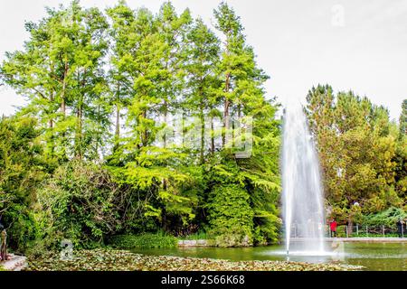 Dieser Ort ist ein Blumengarten mit Blumen aus der ganzen Welt. Die Schönheit der ganzen Welt ist hier im Frühling. Stockfoto