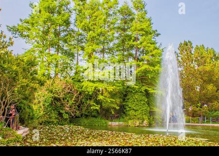 Dieser Ort ist ein Blumengarten mit Blumen aus der ganzen Welt. Die Schönheit der ganzen Welt ist hier im Frühling. Stockfoto