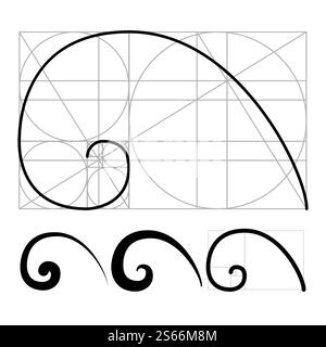 Nautilus Golden Ratio Geometrisches Spiralset Vektor. Sammlung Von Entworfenen Split Chambered Nautilus Form Wissenschaftlicher Hintergrund. Illustrationen Der Gezeichneten Helixform Mathematics Formula Concept Template. Nautilus Golden Ratio Geometrisches Spiralset Vektor Stock Vektor